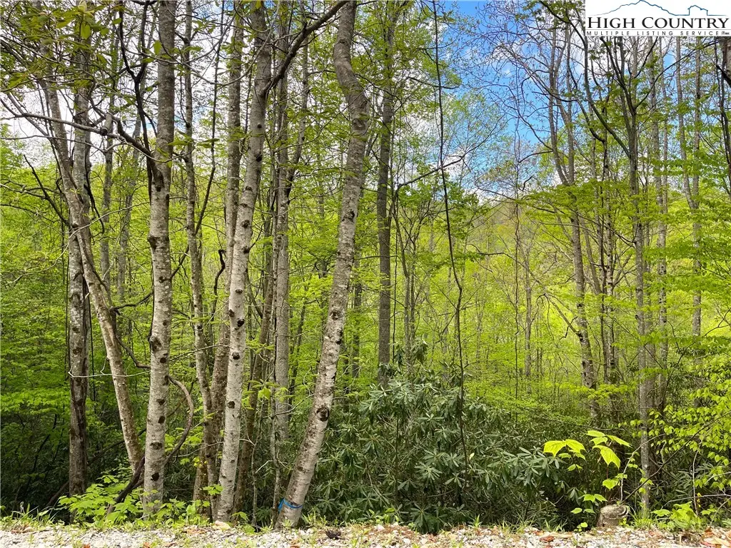 117 Deergrass Road, Beech Mountain, NC 28604 - Image #1