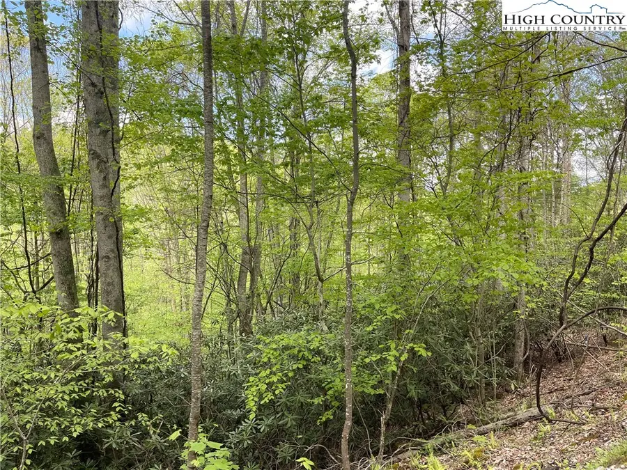 117 Deergrass Road, Beech Mountain, NC 28604 - Image #2