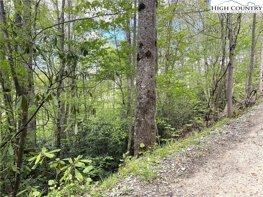 117 Deergrass Road, Beech Mountain, NC 28604 - Image #3