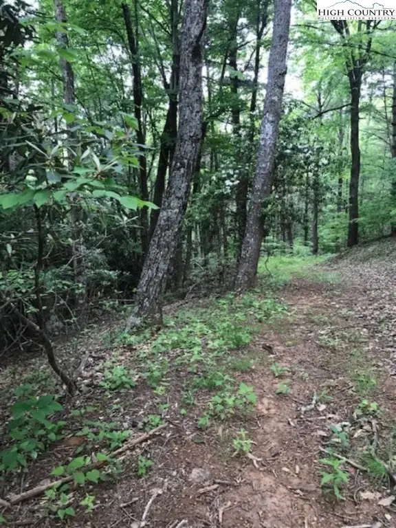 Lot 48 White Tail Road, West Jefferson, NC 28694 - Image #2