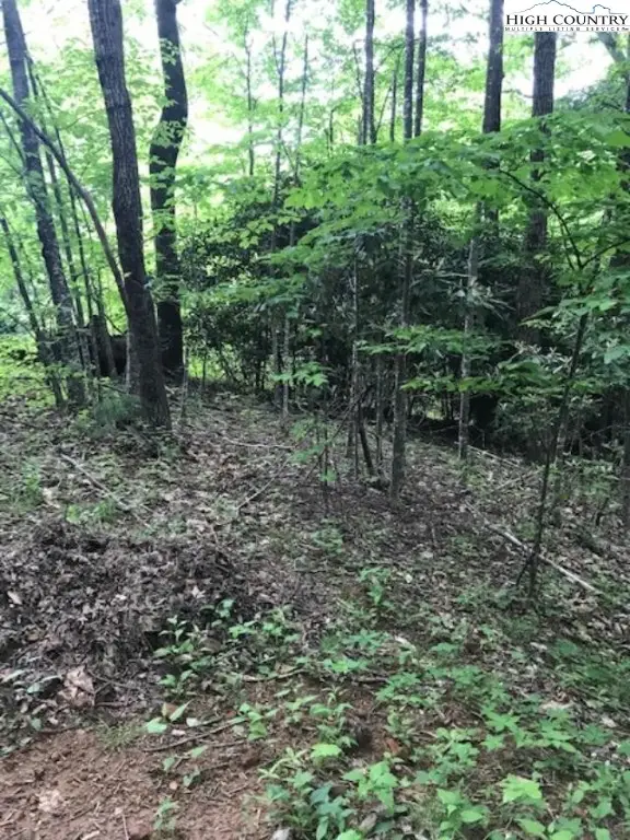 Lot 48 White Tail Road, West Jefferson, NC 28694 - Image #3