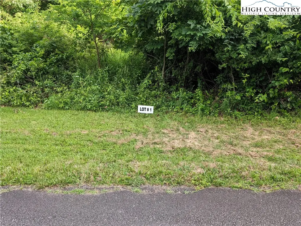 Lot 1 Briarwood Lane, Sparta, NC 28675 - Image #1
