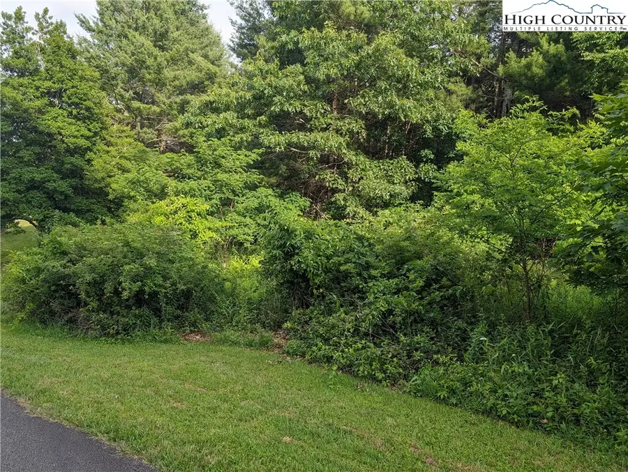 Lot 1 Briarwood Lane, Sparta, NC 28675 - Image #2