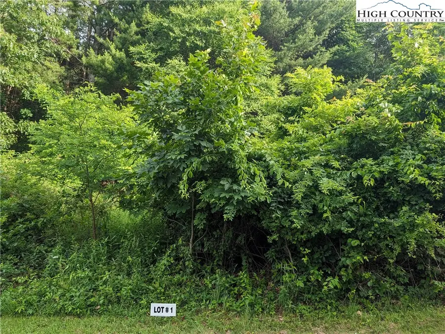 Lot 1 Briarwood Lane, Sparta, NC 28675 - Image #3