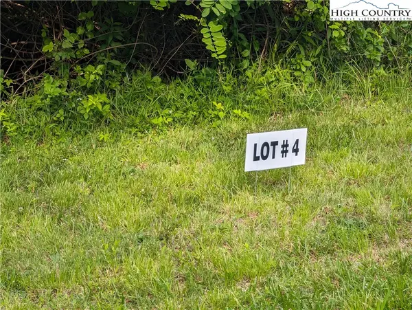 Lot 4 Briarwood Lane, Sparta, NC 28675