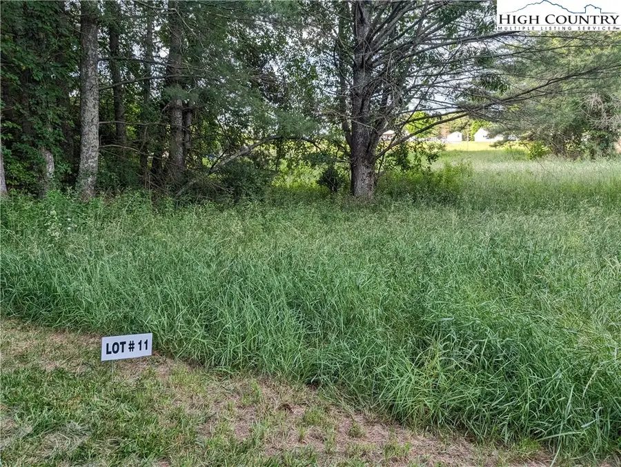 Lot 11 Sugar Creek Lane, Sparta, NC 28675 - Image #2