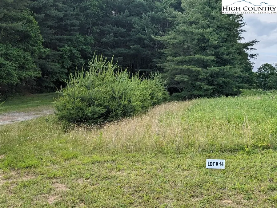 Lot 14 River Creek Drive, Sparta, NC 28675 - Image #2
