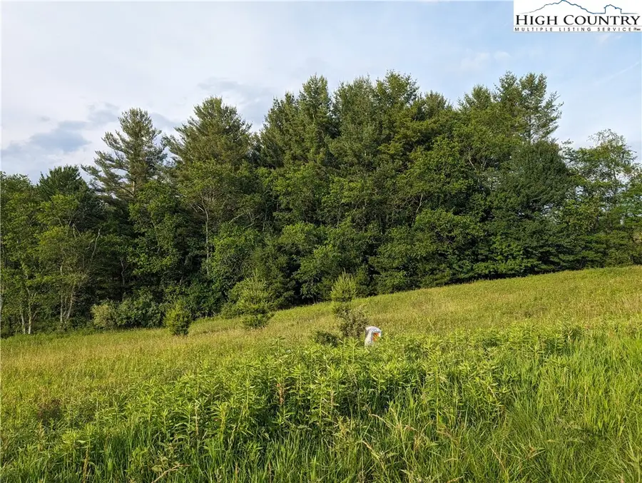 Lot 18 Fraser Road, Sparta, NC 28675 - Image #3