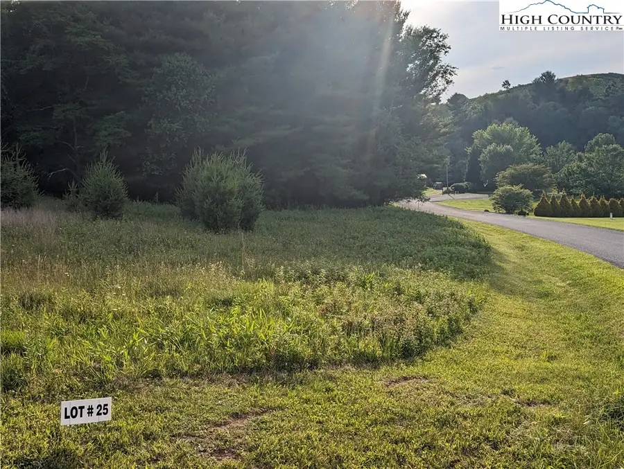 Lot 25 Dockery Lane, Sparta, NC 28675 - Image #2