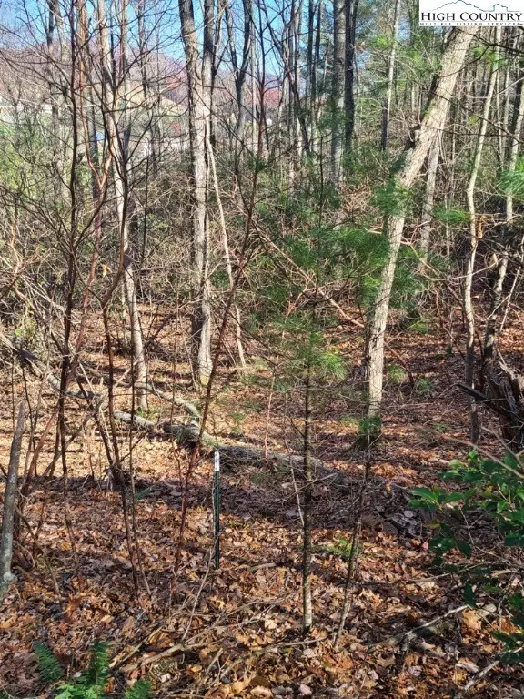 Lot 24 Highland Meadows Court, Fleetwood, NC 28626 - Image #2