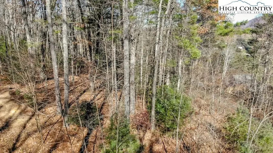 Lot 27 Highland Meadows Court, Fleetwood, NC 28626 - Image #3