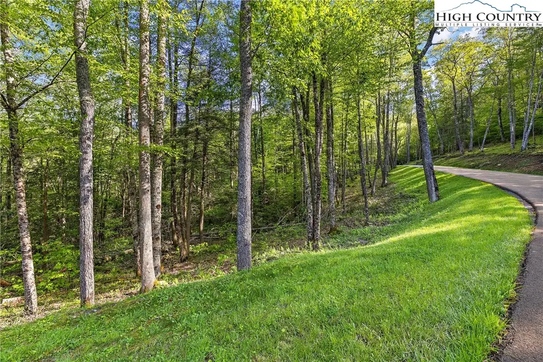 78 Eagles Nest Trail, Beech Mountain, NC 28622 - Image #1