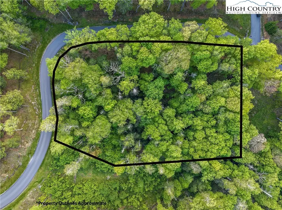78 Eagles Nest Trail, Beech Mountain, NC 28622 - Image #2