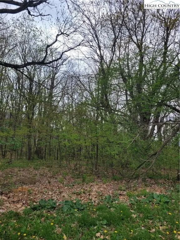 TBD Buena Vista Drive, West Jefferson, NC 28694 - Image #3