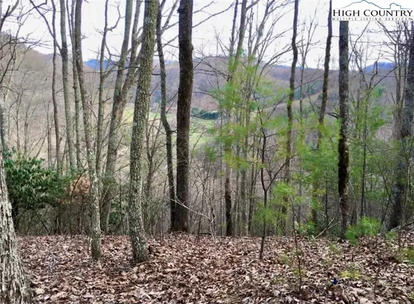 TBD Man Of War Drive, Vilas, NC 28692