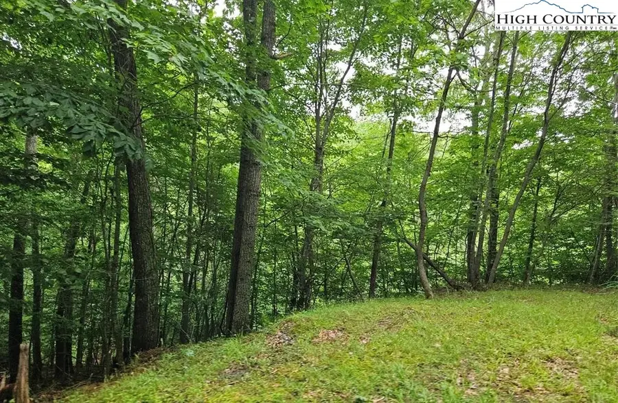 TBD Mountain View Road, Burnsville, NC 28714 - Image #2