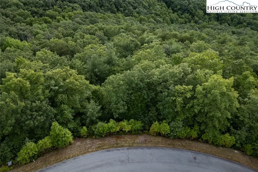 Lot 352 Pepperroot Road, Boone, NC 28607 - Image #3