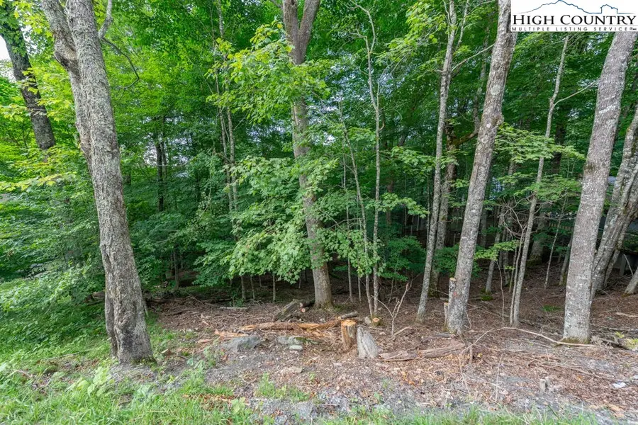 907 Charter Hills Road, Beech Mountain, NC 28604 - Image #2