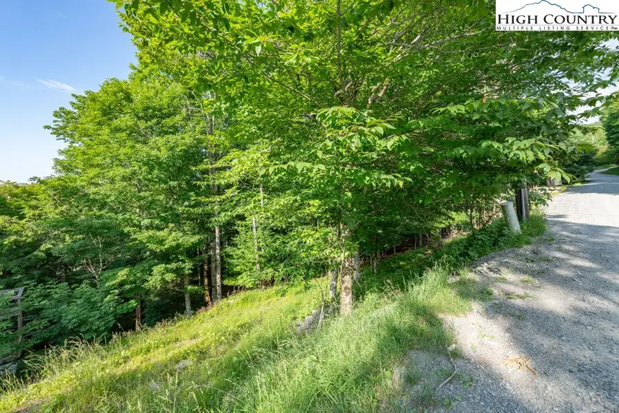 907 Charter Hills Road, Beech Mountain, NC 28604 - Image #3