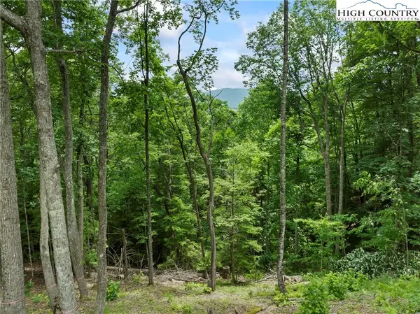 WR44 6964 Beech Mountain Road, Elk Park, NC 28622