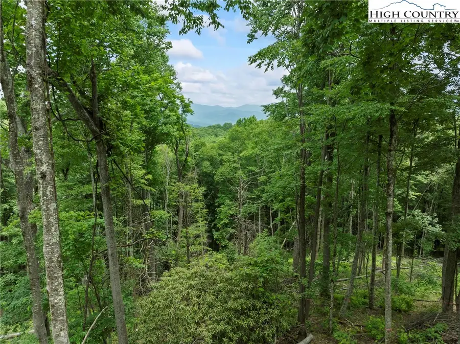 WR44 6964 Beech Mountain Road, Elk Park, NC 28622 - Image #2