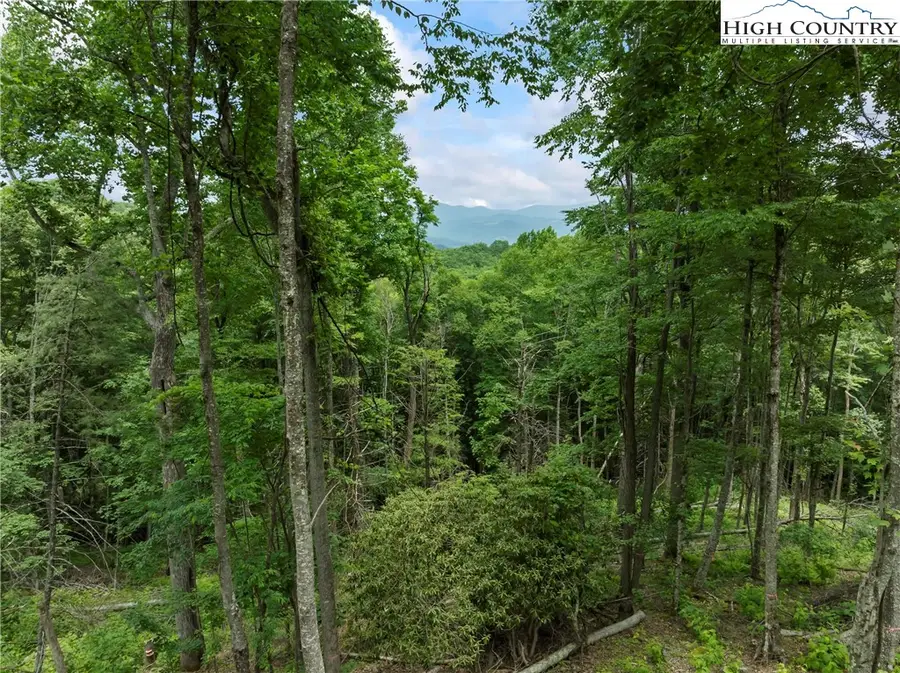 WR44 6964 Beech Mountain Road, Elk Park, NC 28622 - Image #3