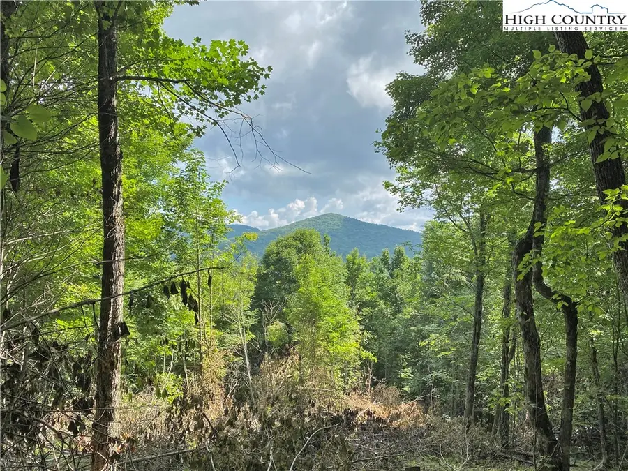 Tract 3 Spring Mountain Trail, Boone, NC 28607 - Image #2