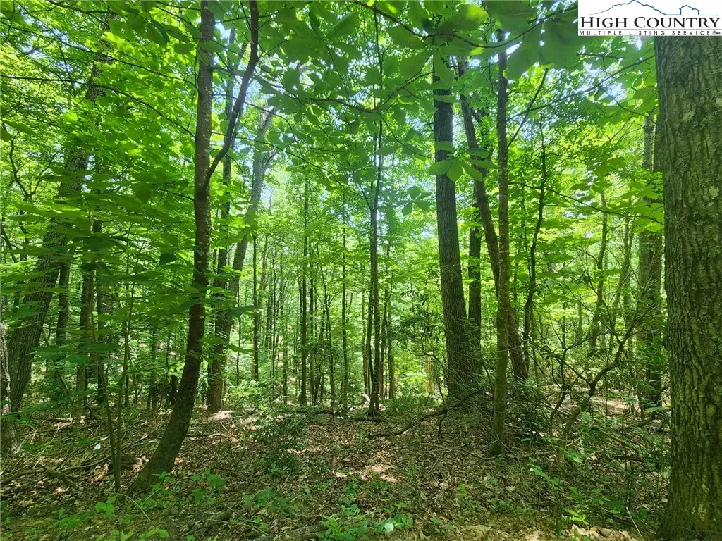 TBD Hollow Point Drive, West Jefferson, NC 28694 - Image #1