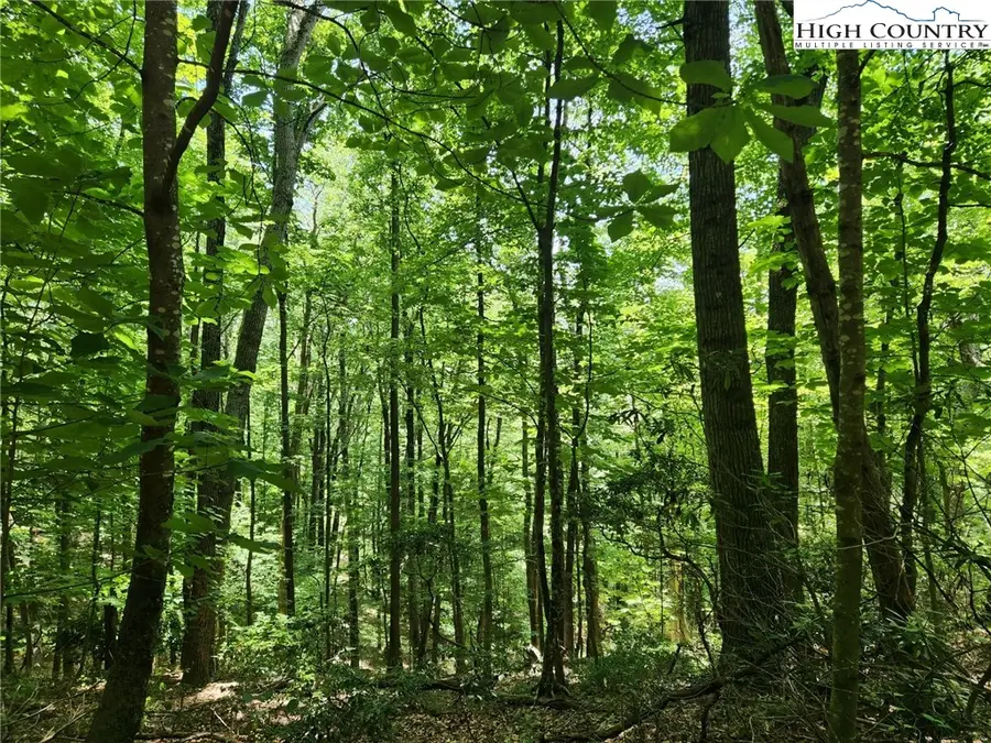 TBD Hollow Point Drive, West Jefferson, NC 28694 - Image #3