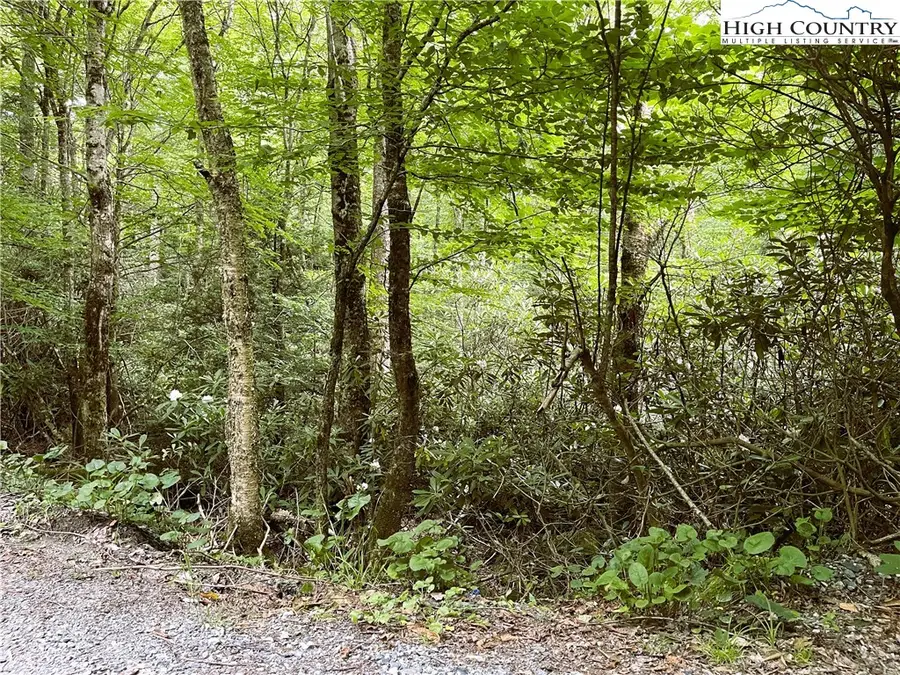 104 Willow Run, Beech Mountain, NC 28604 - Image #2