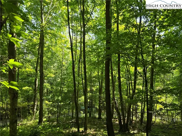 Lot 66 White Tail Trail, West Jefferson, NC 28694