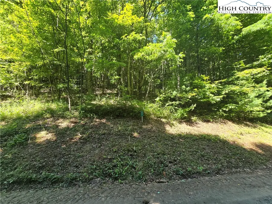 Lot 66 White Tail Trail, West Jefferson, NC 28694 - Image #3