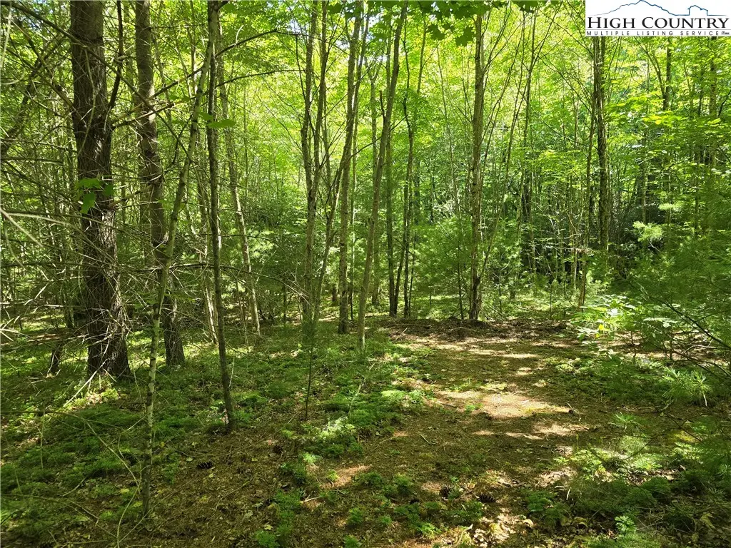 Lot 50 Deer Spring Ln/white Tail Trail, West Jefferson, NC 28694 - Image #1