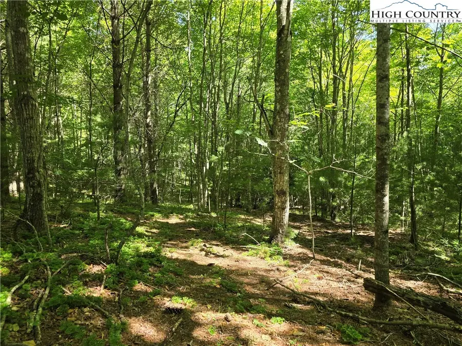 Lot 50 Deer Spring Ln/white Tail Trail, West Jefferson, NC 28694 - Image #2
