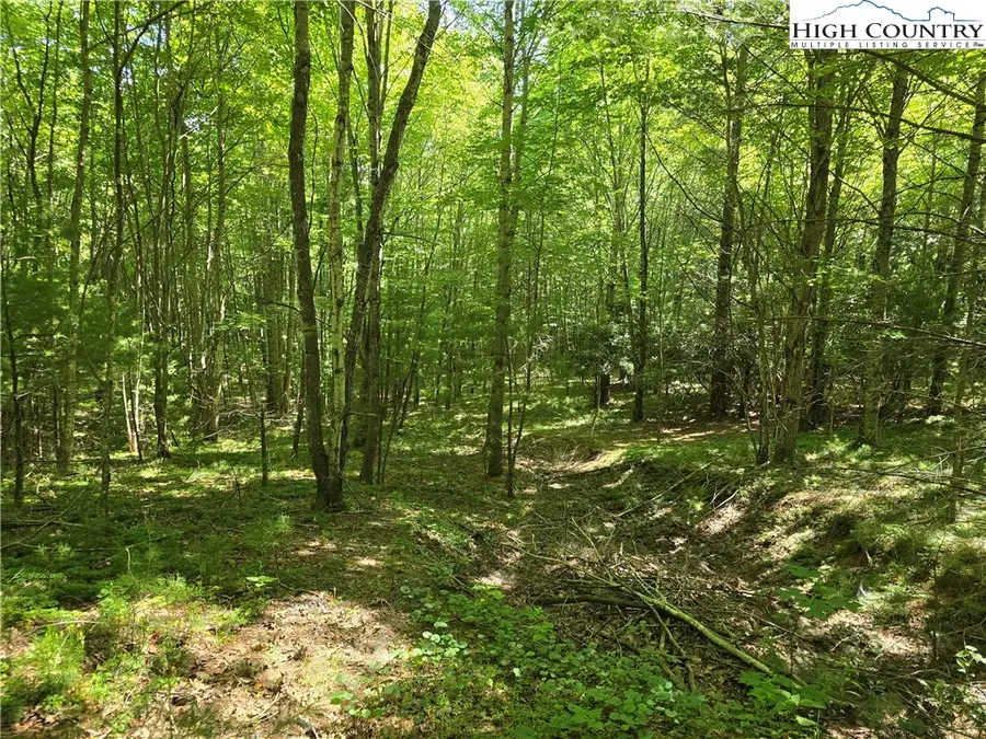 Lot 50 Deer Spring Ln/white Tail Trail, West Jefferson, NC 28694 - Image #3