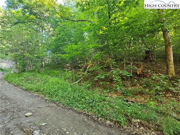 TBD Immaculate Heart Way, Lansing, NC 28643