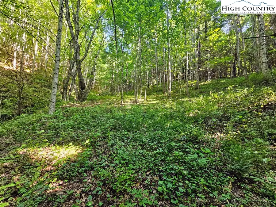 TBD Immaculate Heart Way, Lansing, NC 28643 - Image #2