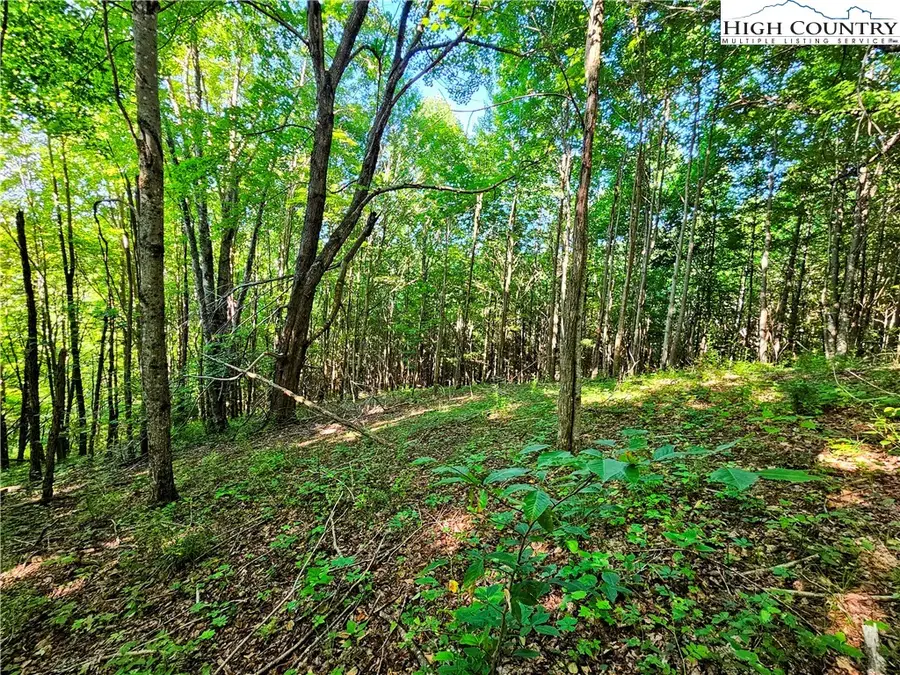 TBD Immaculate Heart Way, Lansing, NC 28643 - Image #3