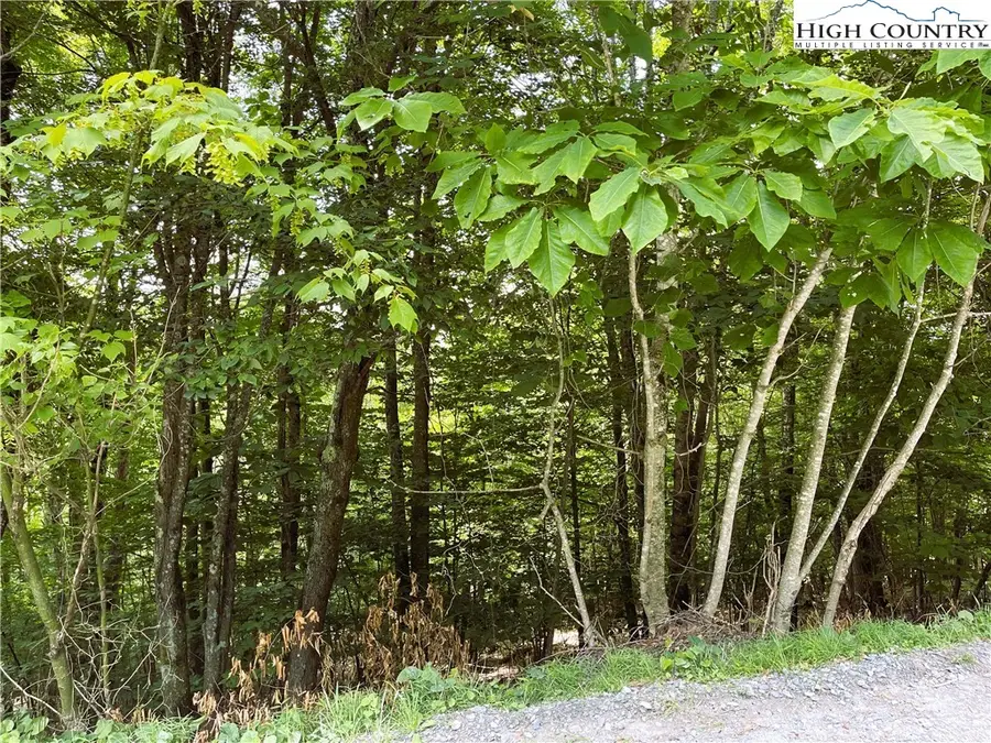 116 Aster Trail, Beech Mountain, NC 28604 - Image #2