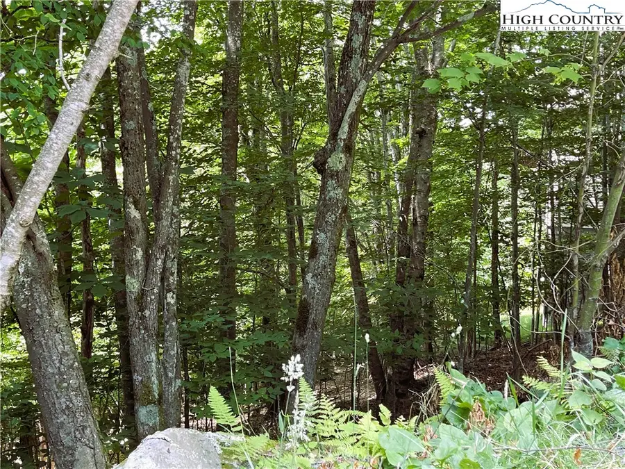 116 Aster Trail, Beech Mountain, NC 28604 - Image #3