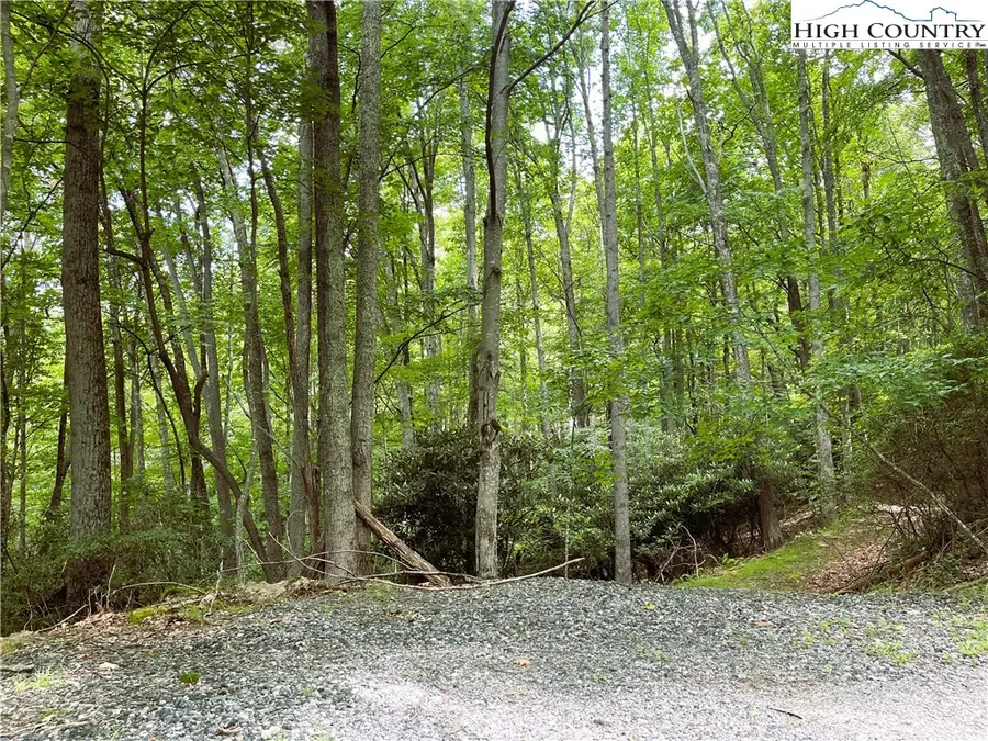 107 Maplewood Lane, Beech Mountain, NC 28604 - Image #3