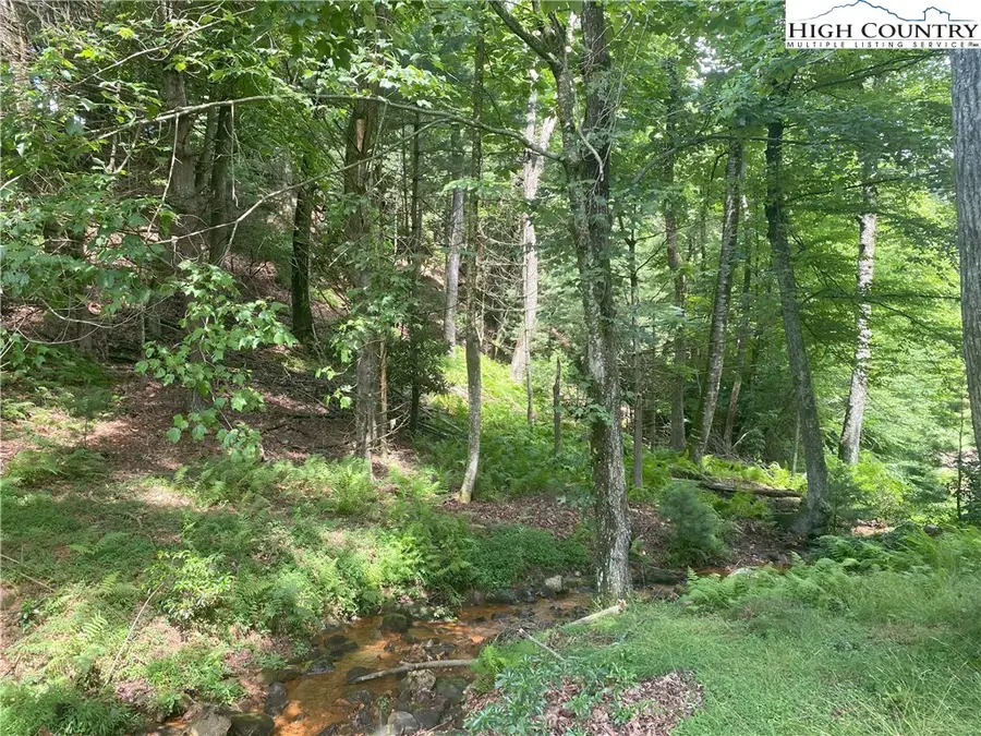 TBD Sunningdale Court #142, Roaring Gap, NC 28668 - Image #2