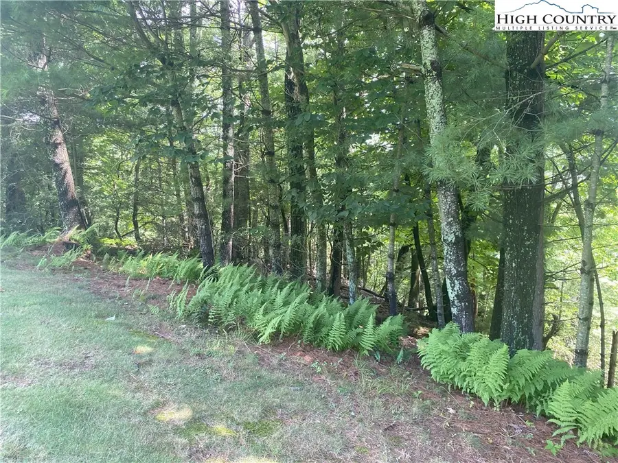 TBD Sunningdale Court #142, Roaring Gap, NC 28668 - Image #3