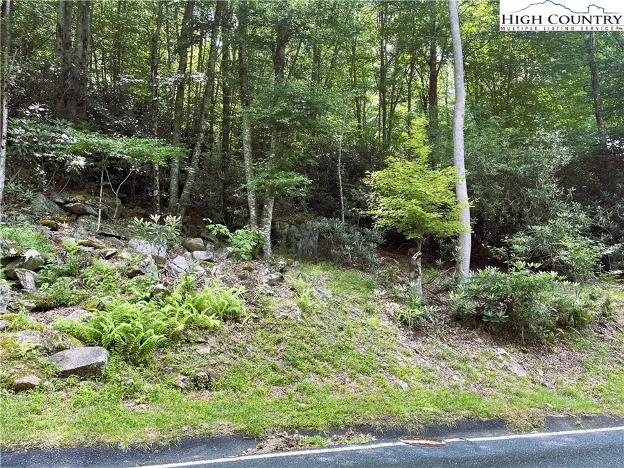 523 Pinnacle Ridge Road, Beech Mountain, NC 28604 - Image #2