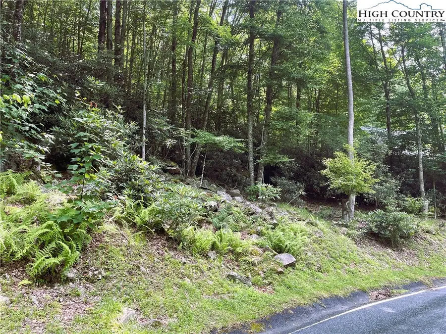 523 Pinnacle Ridge Road, Beech Mountain, NC 28604 - Image #3
