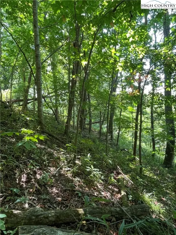 TBD Fletcher Branch Rd, Vilas, NC 28692 - #2