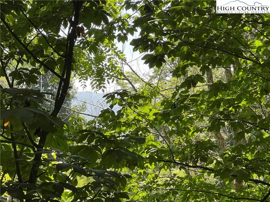 TBD Fletcher Branch Rd, Vilas, NC 28692 - #3