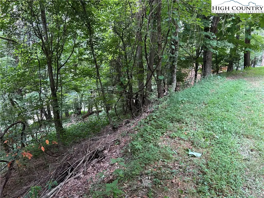 Lot 32 Alpine Drive, Seven Devils, NC 28604 - Image #2