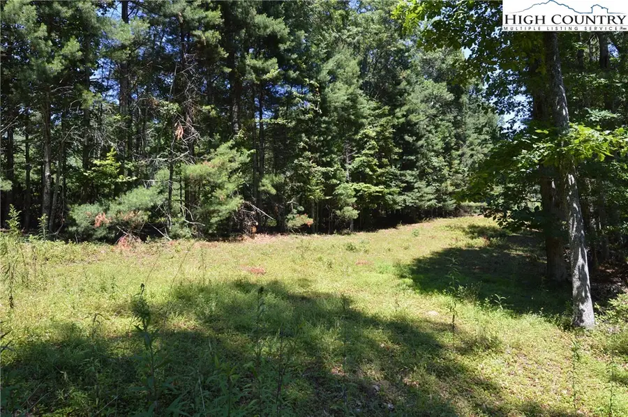 TBD Us Hwy 18 North, Ennice, NC 28623 - Image #3