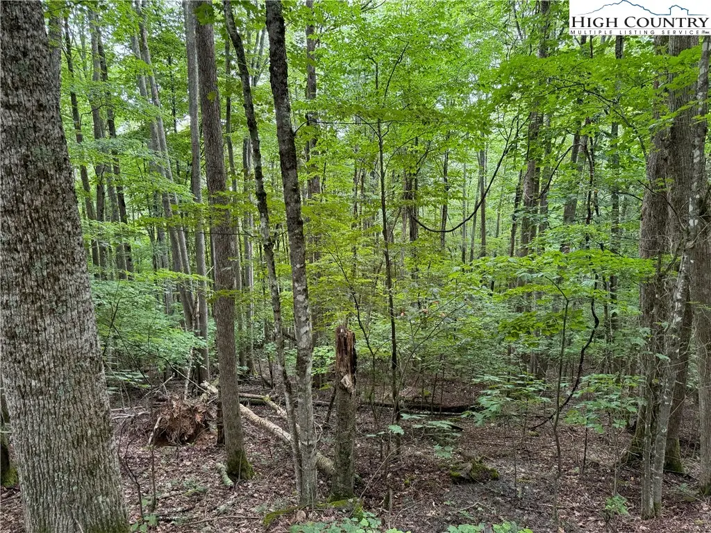 119 Raccoon Road, Beech Mountain, NC 28604 - Image #1